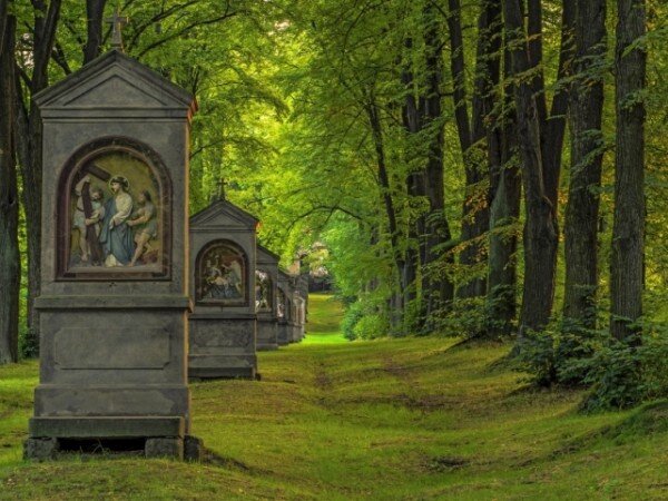 Na třetím místě v kategorii hlasování patronů z hlediska působivosti fotografie se umístila alej  na Křížovém vrchu u Cvikova na Liberecku.