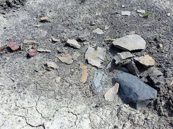 Archeologické nálezy (ilustrační foto)