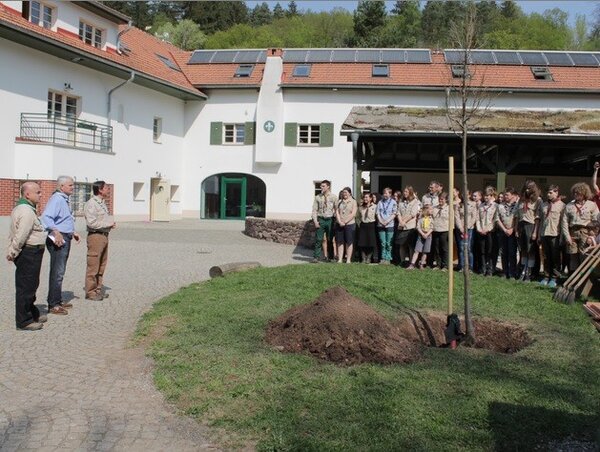 O výsadbu lípy v rámci kampaně Stromy svobody se na Kaprálově mlýně postarali skauti.